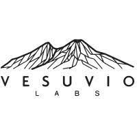Vesuvio Ventures